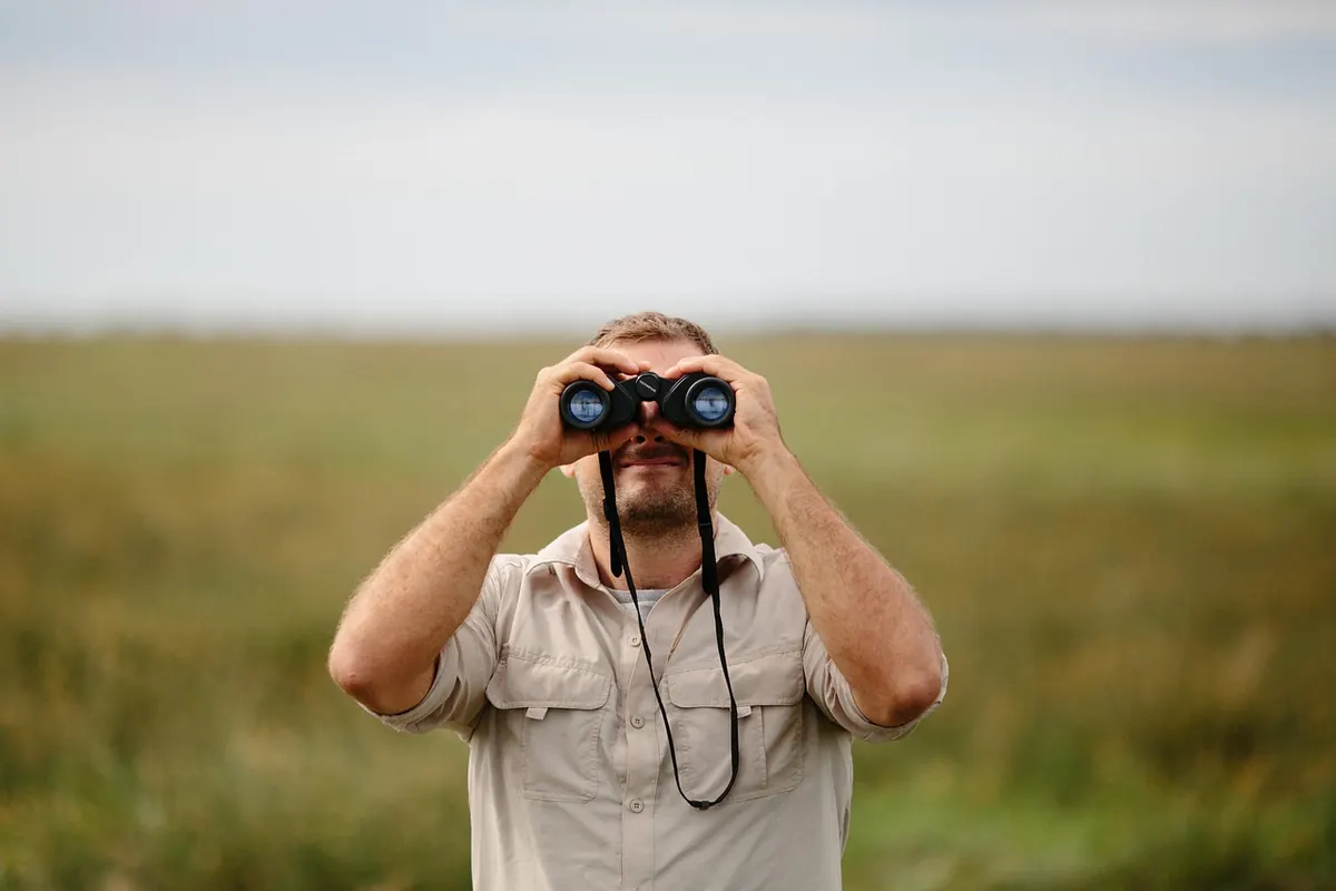 Norfolk's Best Nature Reserves for Birdwatching: A Seasonal Checklist